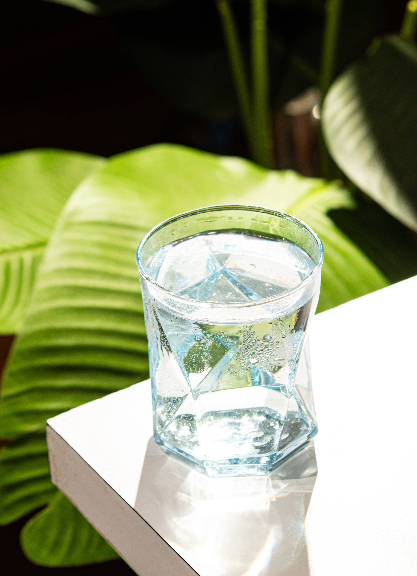 glass best glass cup champagne wine drinking shots cocktail luxury cheap india kolkata famous popular