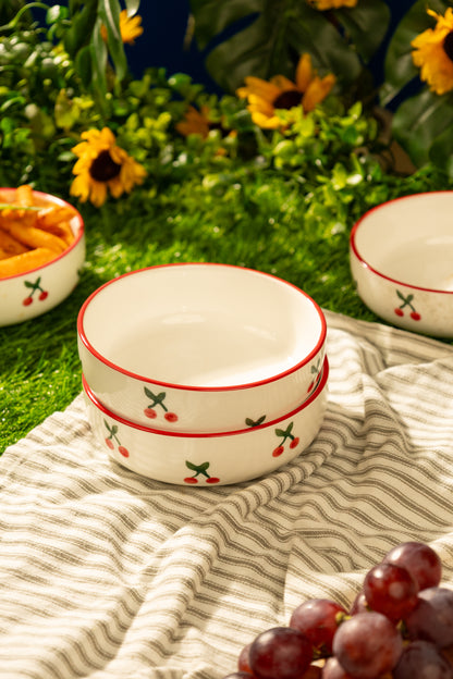 Cerise Everyday Bowl Set